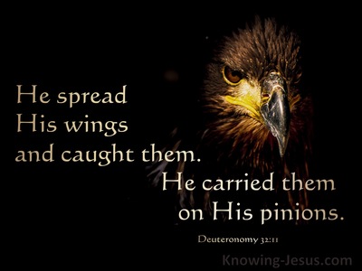 Deuteronomy 32:11 Like An Eagle The Stirs Up Its Nest (black)